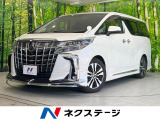 モデリスタエアロ 両側電動ドア 後席モニター バックカメラ 100V電源