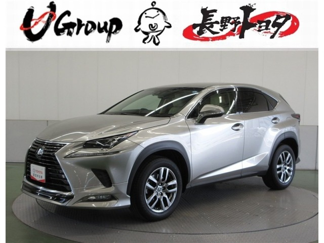 NX 300 バージョンL 4WD