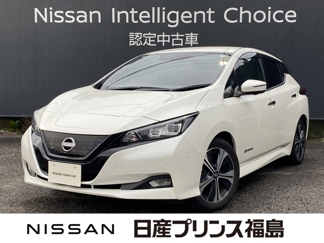リーフ G 