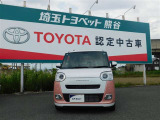 ムーヴキャンバス  ストライプス G