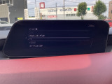 フルセグ地上デジタルTVチューナー付き(安全上、走行中は映りません)