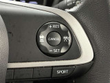 前方の車との車間を設定し、スピードを上げたり緩めたりを自動で行ってくれる追尾式の「レーダークルーズ」。上級装備の一つです!高級車にしかつかない嬉しい機能です。