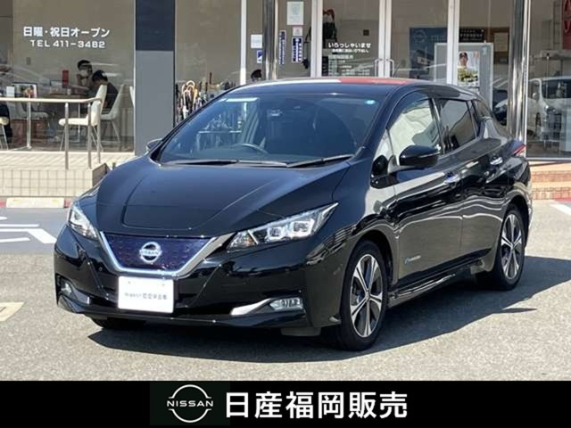 リーフ G 