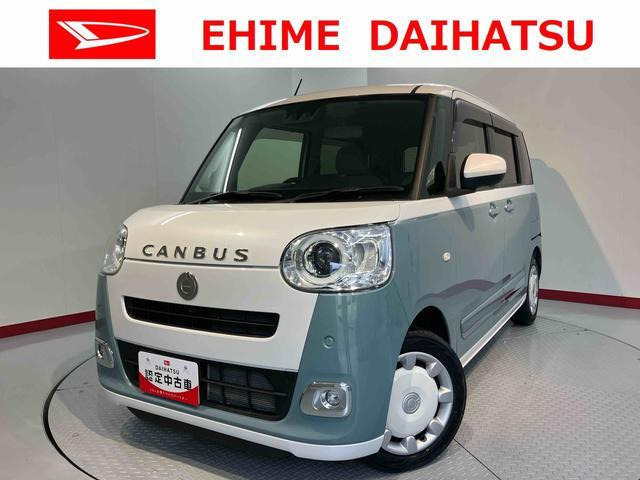 ムーヴキャンバス  ストライプス G