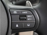 ◆アダプティブクルーズコントロール◆予め設定した車速内でクルマが自動的に加減速。前走車との適切な車間距離を維持しながら追従走行します。【LKAS】車線維持支援システムでステアリング操作を支援。