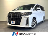 両側電動ドア 後席モニター バックカメラ 衝突被害軽減システム