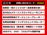フーガ 2.5 250VIP 後期 アラウンドビュー 希少VIP BSW