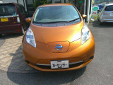 リーフ 30kWh X 