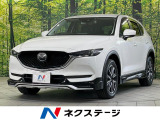 衝突軽減装置 レーダークルーズ ブラインドスポットモニタリング フルセグ