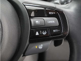◆アダプティブクルーズコントロール◆予め設定した車速内でクルマが自動的に加減速。前走車との適切な車間距離を維持しながら追従走行します。【LKAS】車線維持支援システムでステアリング操作を支援。