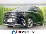 ガラスルーフ フルエアロ 両側電動ドア 後席モニター 全周囲カメラ