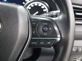 レーダークルーズコントロール作動時に車線維持に必要な運転操作の支援を行う「レーントレーシングアシスト(LTA)」を搭載しています。