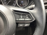 ミリ波レーダーで低速域〜高速域まで、先行車との車間を維持しながら追従走行を可能にします。長距離走行などでドライバーの負担を軽減します。
