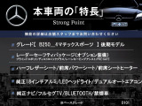 Bクラス B250 4マティック スポーツ 4WD 