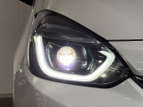 LEDヘッドライトで夜道も安心!