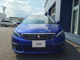 308SW テックパックエディション 