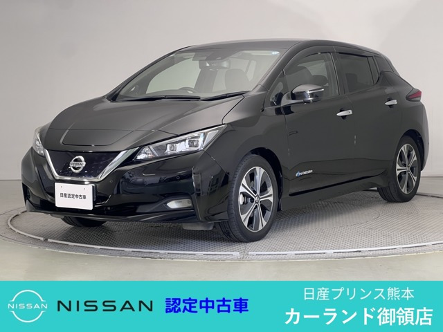 リーフ G