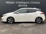 リーフ G 