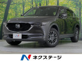 純正ナビ バックカメラ 衝突被害軽減システム 禁煙車 電動リアゲート