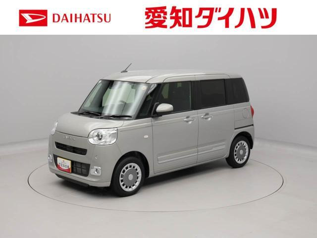 ムーヴキャンバス セオリー G