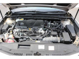 同業者様への販売はお断りさせていただきます。 車検無し車両の場合は、車検を取得したお支払い総額で表示しております。