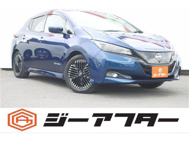 リーフ G 