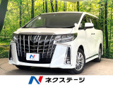 4WD 両側電動ドア 後席モニター バックカメラ 100V電源 衝突軽減