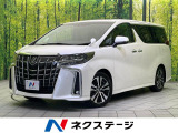 レーダークルーズ 禁煙車 電動リアゲート ハーフレザーシート