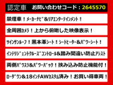 エルグランド 3.5 VIP 4WD 