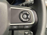 パワーモードと燃費重視のエコモードが選択できるDassist切り替えスイッチに加え、高速道路を快適に走行できる全車速追従機能付アダプティブクル-ズコントロ-ルスイッチが付いています(^^♪