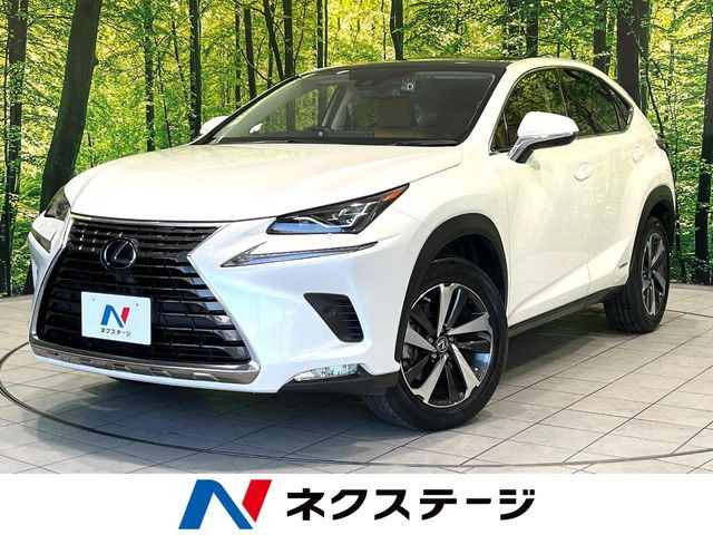 NX 300h Iパッケージ