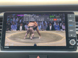 TVも家庭用TVのような画質(フルセグ)です。