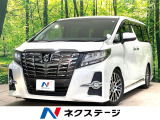 両側電動ドア 純正9型ナビ バックカメラ 後席モニター 衝突軽減システム