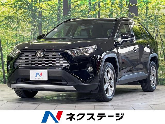 RAV4 2.0 G 4WD