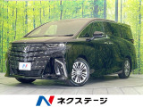 禁煙車 純正14型ナビ 全周囲カメラ ガラスルーフ 電動サイドステップ