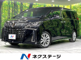 メーカーナビ バックカメラ 寒冷地仕様 セーフティセンス 両側電動