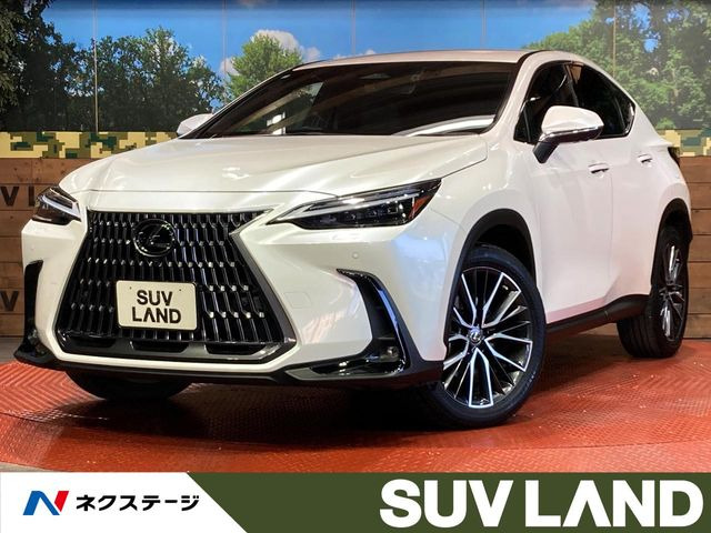 NX 250 バージョンL 