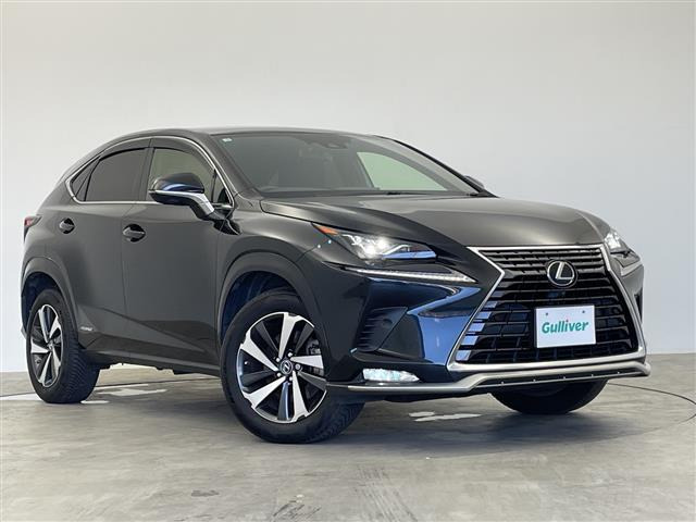 NX 300h スパイス&シック 4WD サンルーフ