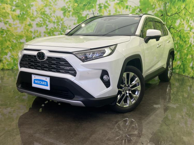 RAV4 2.0 G Zパッケージ 4WD 