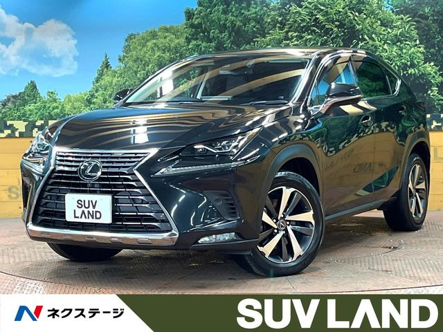 NX 200t Iパッケージ