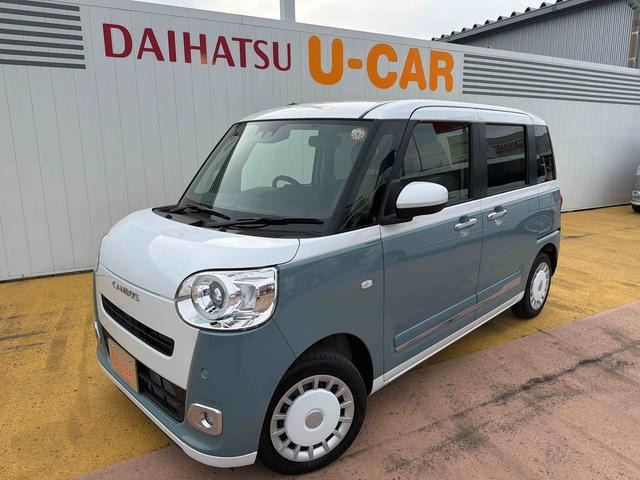 ムーヴキャンバス  ストライプス G
