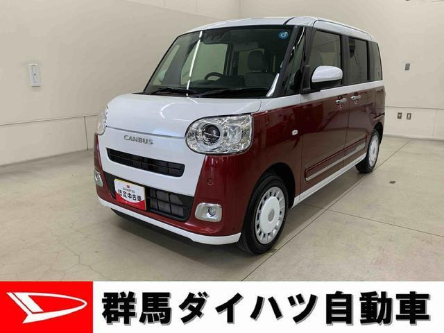 ムーヴキャンバス  ストライプス G
