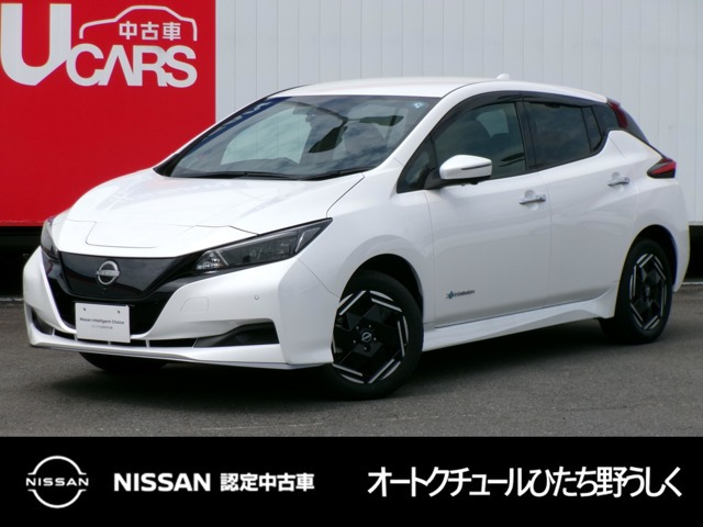 リーフ e+ X
