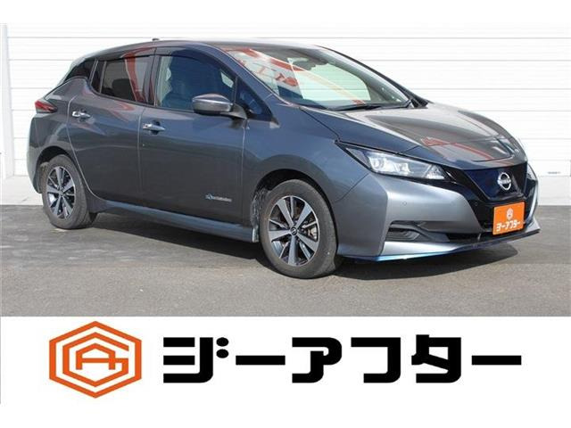 リーフ e+ X 純正9インチナビ フルセグTV バックカ