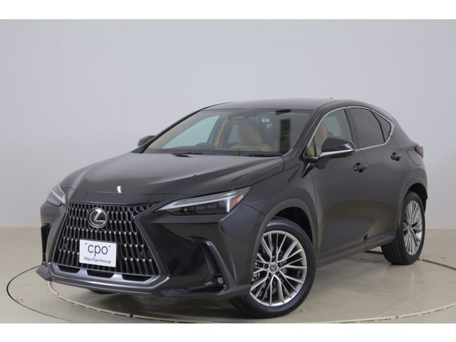 NX 250 バージョンL 4WD 