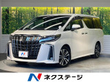 後期 11型BIG-X サイド・バックカメラ 両側電動ドア 禁煙車
