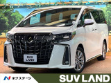 禁煙車 フリップダウン 9型ディスプレイ バックカメラ レーダークルーズ