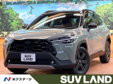 パノラマルーフ 10型ディスプレイ 全周囲カメラ ETC