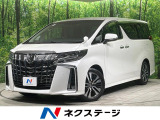 両側電動ドア バックカメラ 衝突軽減 レーダークルーズ 電動リアゲート