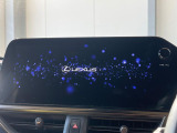 UX 250h グレイスフル エクスプローラー 